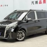 Mercedes-Benz V-Class W447 2022 - Premium EV Chinese Cars MPV