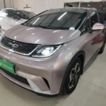MG4 vs BYD Dolphin 2022 Best Chinese EV Companies