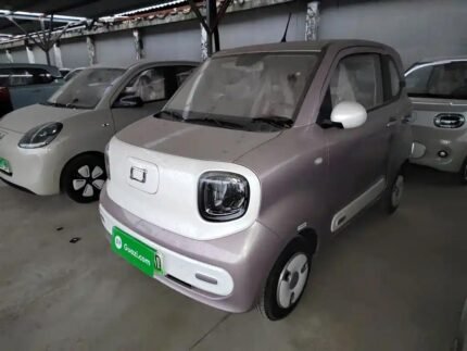 Mini Horse Breeding 2025 Top Chinese EV Car Companies