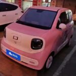 Mini Ponies Jumping 2025 Best Chinese EV Companies