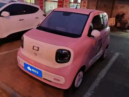Mini Ponies Jumping 2025 Best Chinese EV Companies