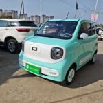Miniature Horse Breeding 2024 Top Chinese EV Companies