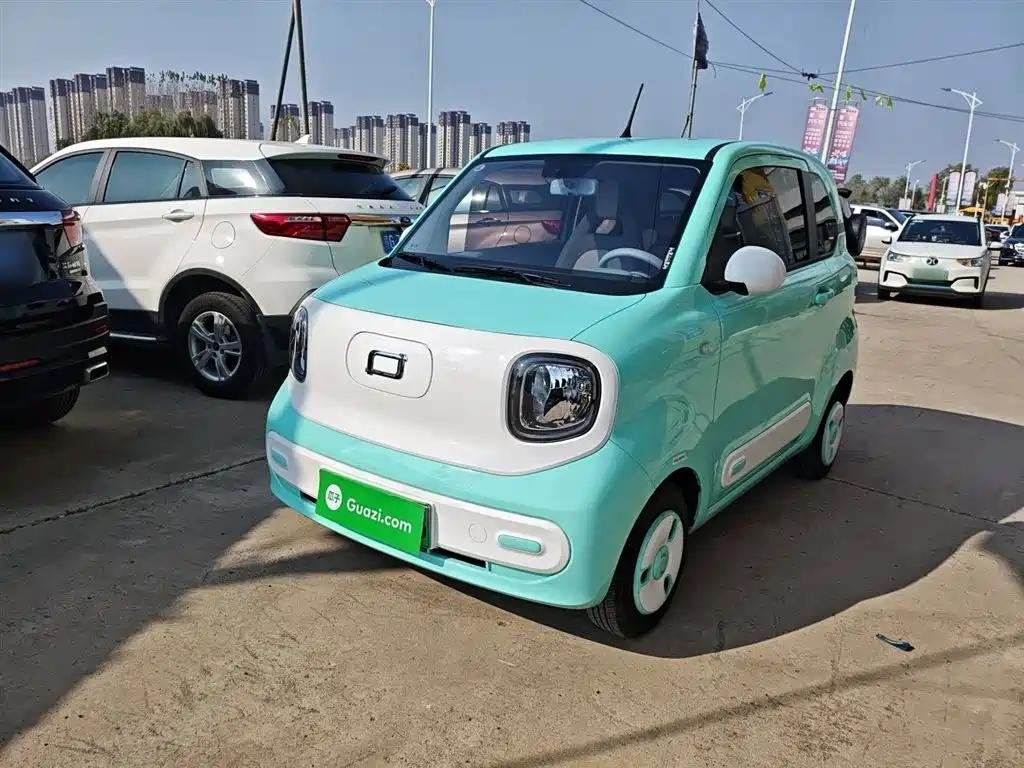 Miniature Horse Breeding 2024 Top Chinese EV Companies Miniature Horse Breeding 2024 Top Chinese EV Companies