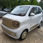 Mini.Horse 2025 Top 10 Chinese EV Companies