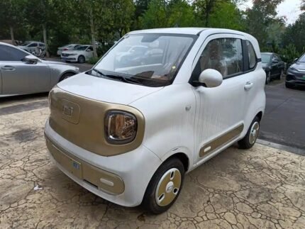 Mini.Horse 2025 Top 10 Chinese EV Companies