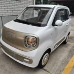 Mini.Horses 2025 Top 3 Chinese EV Companies