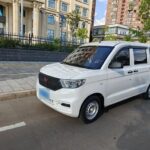 Modern 2021 Wuling Hongguang Mini E.V: Wuling Hongguang Mini E.V at Used Car Dealership China