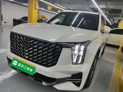 Modern 2022 GAC Trumpchi GS8: GAC Trumpchi GS8 as Chinese Car EV Leader
