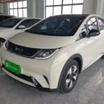 New BYD Dolphin 2022: Best Chinese EV Companies