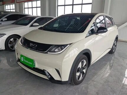 New BYD Dolphin 2022: Best Chinese EV Companies
