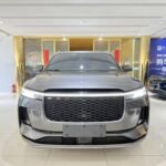 No One Ever Loved Lykke Li Emotion: China EV Used Car