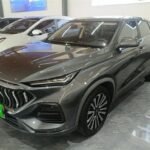 Oshan Changan Auchan X5