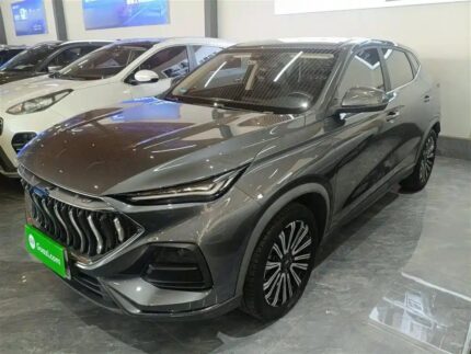 Oshan Changan Auchan X5
