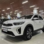 Own a Kia Stonic 2021 Today | Quick Export