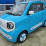 Pet Mini Horse 2024 Best Chinese EV