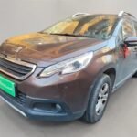 Peugeot 2008 Active - Where Does China Export Cars To Insights