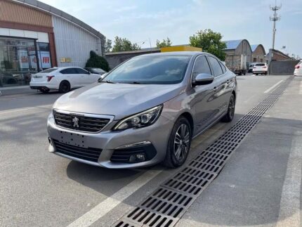 Peugeot 308 Diagnostic Port - Best Chinese EV Deals