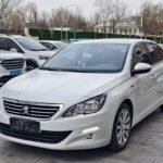 Peugeot 408 Giá Lăn Bánh: Top 10 Chinese EV Companies Deals