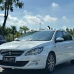 Peugeot 408 Kombi 2017: Explore from Top 3 Chinese EV Companies
