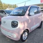 Pony Mini Horse 2024 Top 5 Chinese EV Companies