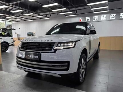 Positive Land Rover Range Rover Velar Reviews: Top Chinese EV Car Companies