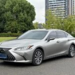 Positive Lexus ES Hybrid Review: Second Hand Car Price China