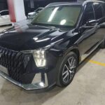 Powerful 2022 Trumpchi GS8 320T: Trumpchi GS8 320T from Top 10 Chinese EV Companies