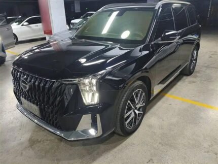 Powerful 2022 Trumpchi GS8 320T: Trumpchi GS8 320T from Top 10 Chinese EV Companies