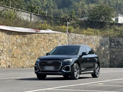 Premium 2022 Audi Q5L: Audi Q5L Appeal - Which Car Brand is Most Used in China