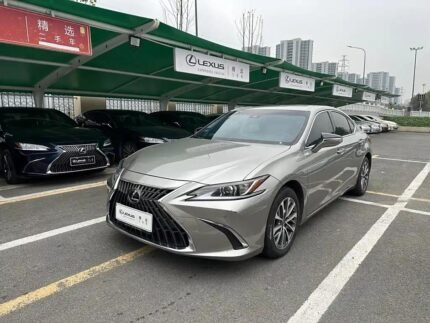 Premium Used Lexus ES 2023 Petrol - China