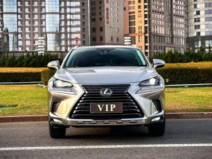 Premium Used Lexus NX: China Export