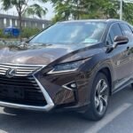 Premium Used Lexus RX: China Export