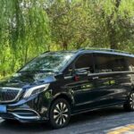 Price of Mercedes Benz Vito 2021 China Car Symbols