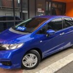 Pure 2021 JDM Honda Fit Variant - Emerging New Chinese EV Rival