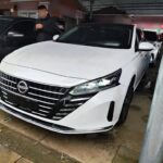 Radiator Nissan Altima: Cooling Top 5 Chinese EV Companies