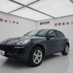 Range 2017 Porsche Macan EV: porsche macan ev range selling used cars to china