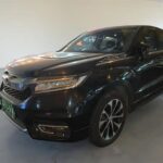 Rapid Honda 6 Second: 2020 Top Chinese EV Car Companies