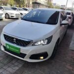 Reliable Peugeot 308 Occasion Top 5 Chinese EV Companies - 2017