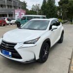 Reliable Used Lexus NX 2017 - China