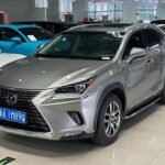Reliable Used Lexus NX 2019 - China