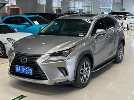 Reliable Used Lexus NX 2019 - China