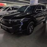 Reviewed Honda Breeze Drom 2024 Among Best Chinese EV Standards