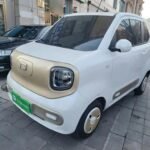 Riding Mini Horses 2025 Used EV Car China