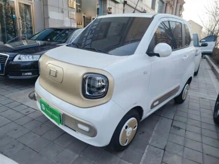 Riding Mini Horses 2025 Used EV Car China
