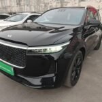 Robust GBH 187 Li One LI ONE: China Cars Review