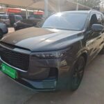 Scenic One Thousand Li of Rivers and Mountains LI ONE: Top Chinese EV Companies