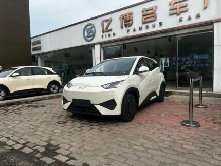 Seagull S8 Mandolin 2025: Top 10 Chinese EV Cos Note