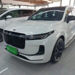 Streamable Jet Li The One LI ONE: Used EV Car China