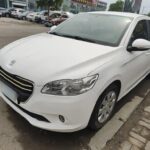 Stylish Car Peugeot 301 2017: From Chinese EV Car Companies