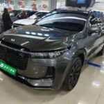 The One Movie Jet Li Thrill: Biggest Chinese EV Companies